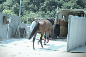 競走馬運送